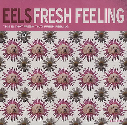 Eels Fresh Feeling
